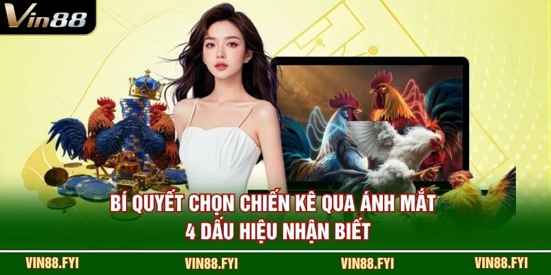 Bí Quyết Chọn Chiến Kê Qua Ánh Mắt