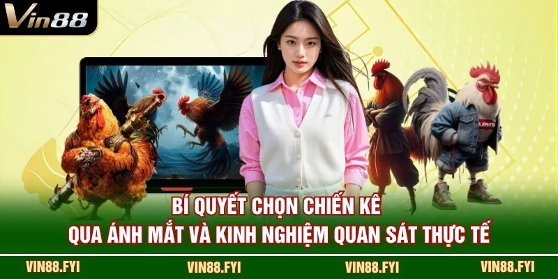 Bí quyết chọn chiến kê qua ánh mắt và kinh nghiệm quan sát thực tế