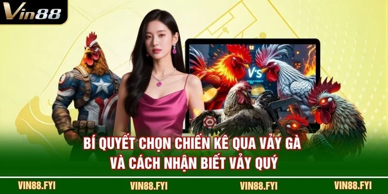 Bí quyết chọn chiến kê qua vảy gà và cách nhận biết vảy quý