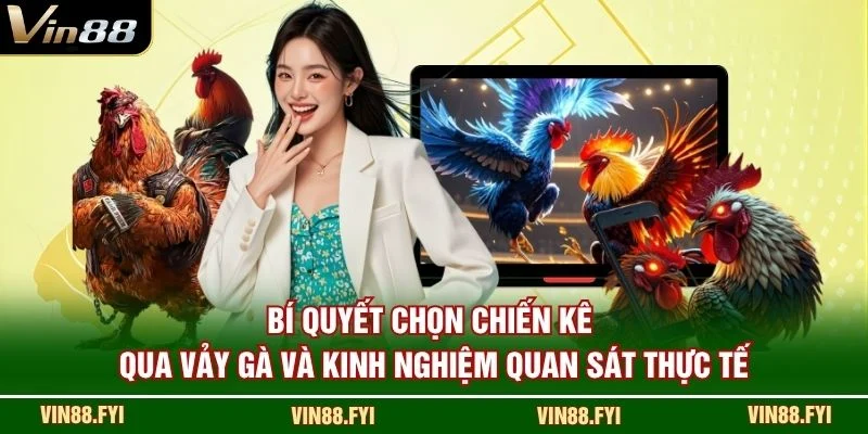 Bí quyết chọn chiến kê qua vảy gà và kinh nghiệm quan sát thực tế