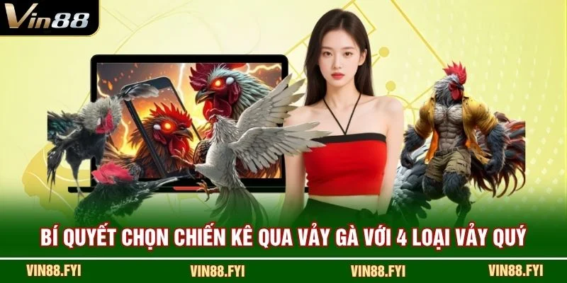 Bí quyết chọn chiến kê qua vảy gà với 4 loại vảy quý