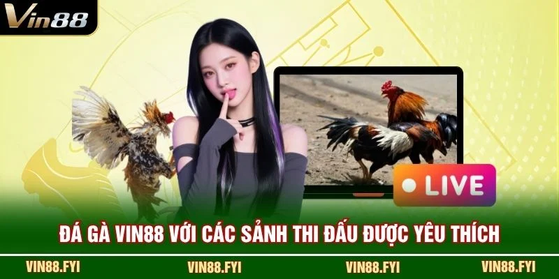 Đá gà VIN88 với các sảnh thi đấu được yêu thích