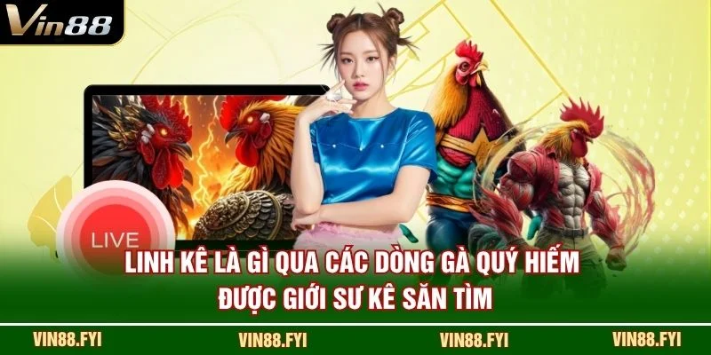 Linh kê là gì qua các dòng gà quý hiếm được giới sư kê săn tìm