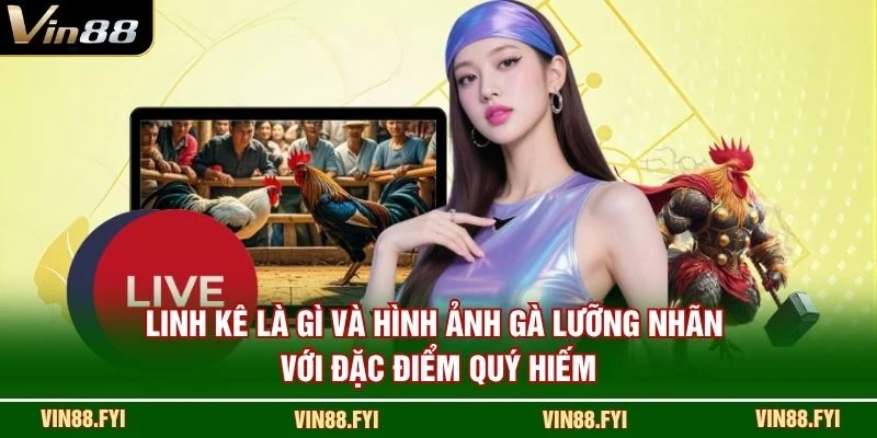 Linh kê là gì và hình ảnh gà lưỡng nhãn với đặc điểm quý hiếm